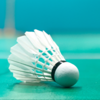 Volant de badminton
